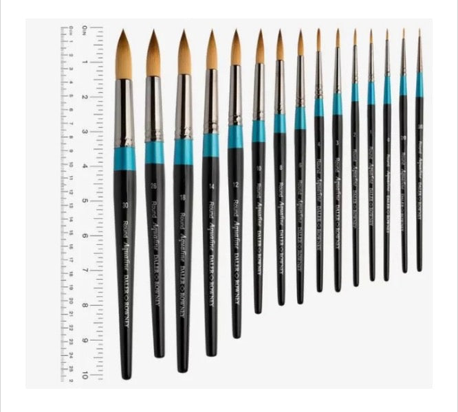 Daler Rowney Aquafine Paint Brush 1pc