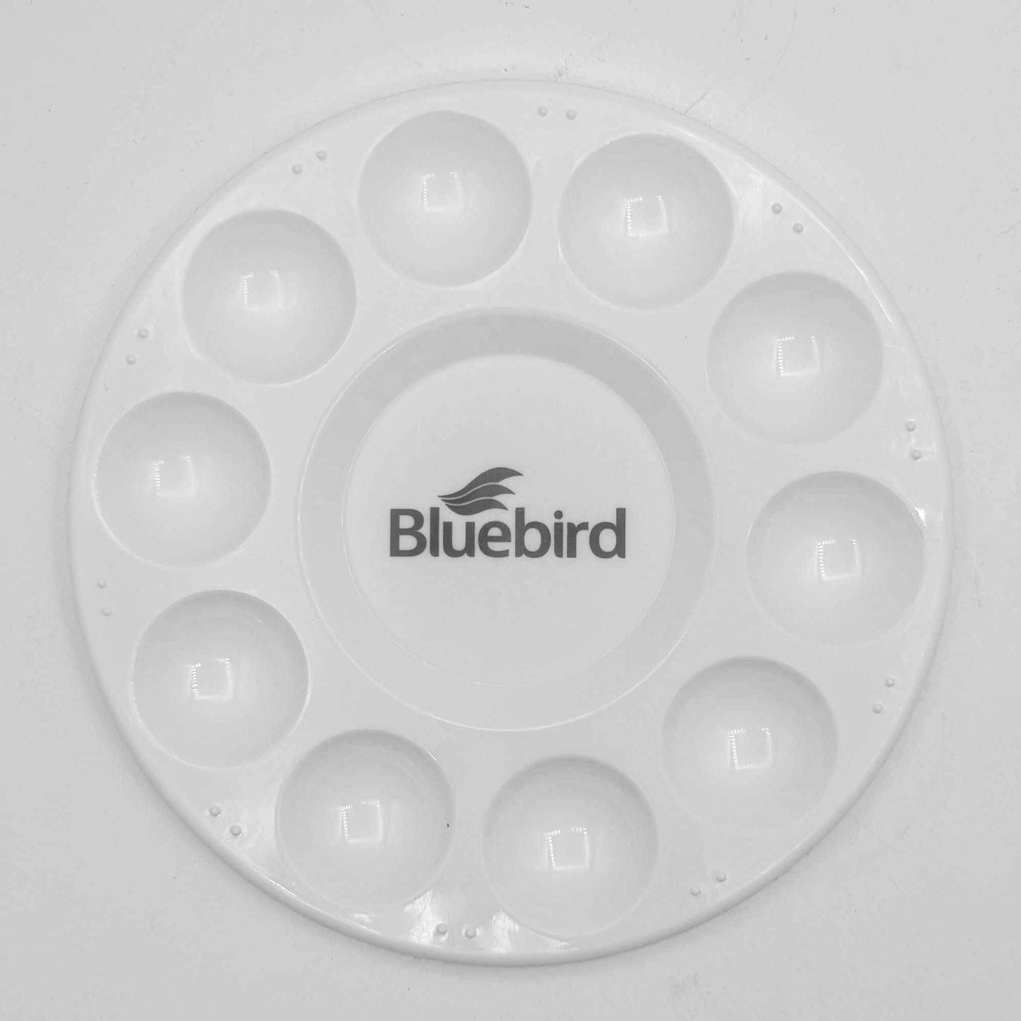 Plastic Paint Palette