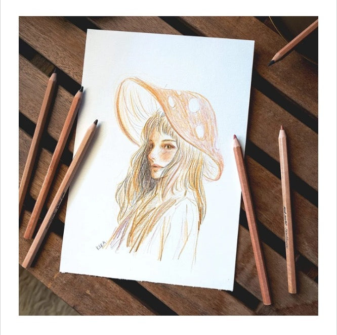 Mont Marte Skin Color Pencils [Set Of 12]