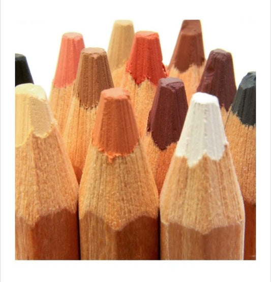 Mont Marte Skin Tints Pastel Jumbo Pencils [Set of 12]