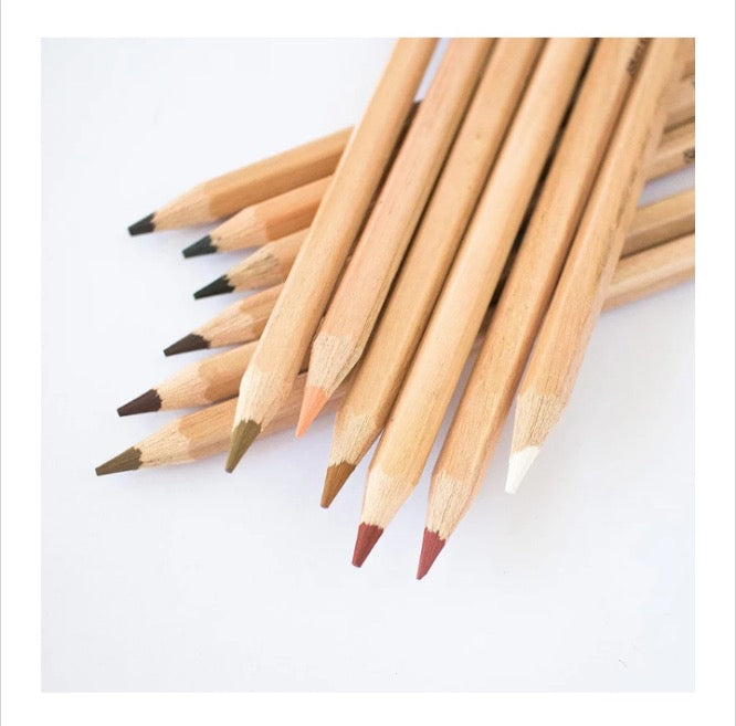 Mont Marte Skin Color Pencils [Set Of 12]