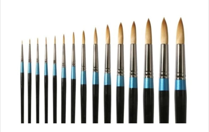 Daler Rowney Aquafine Paint Brush 1pc