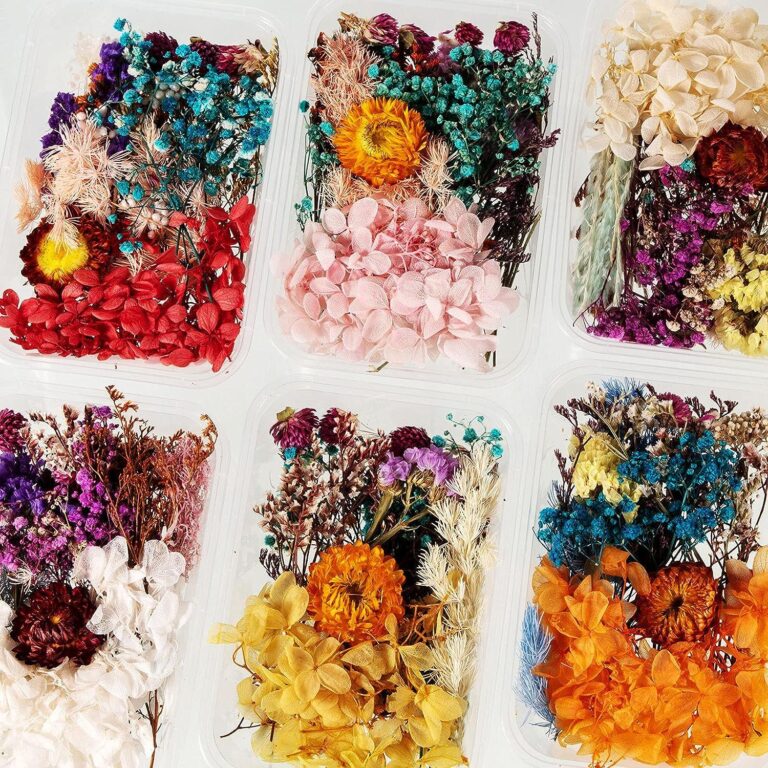 Dry flower for resin art
