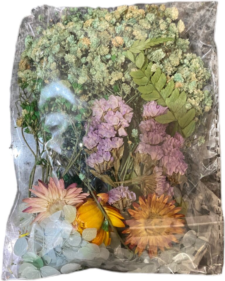 Dry flower for resin art
